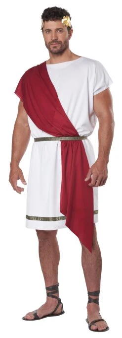 Adult Party Toga Costume