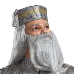 Disguise Harry Potter - Dumbledore Deluxe Robe Costume -Caufields Store 107679 hat