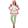 Strawberry Shortcake Costume Adult