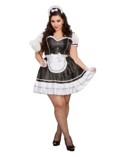 Dreamgirl Keep It Clean Costume - Plus Size