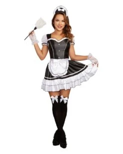 Dreamgirl Keep It Clean Costume