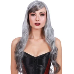 Dreamgirl Long Wavy Grey Ombré Wig