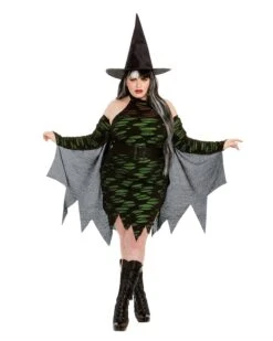 Dreamgirl Miss Enchantment Adult Costume - Plus Size
