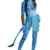 Disguise Neytiri Avatar Deluxe Adult Costume