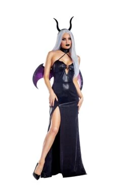 Dreamgirl Succubus Costume Adult