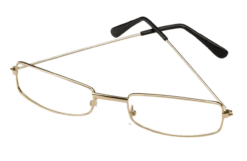 Halco Rectangular Eyeglasses