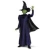 Disguise Elphaba Deluxe Child's Costume