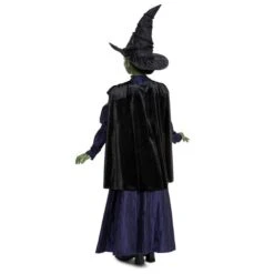 Disguise Elphaba Deluxe Child's Costume 9 Disguise Elphaba Deluxe Child's Costume -Caufields Store 166389 back1