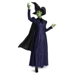 Disguise Elphaba Deluxe Adult Costume