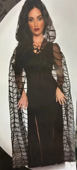 Spider Web Hooded Sheer Cape