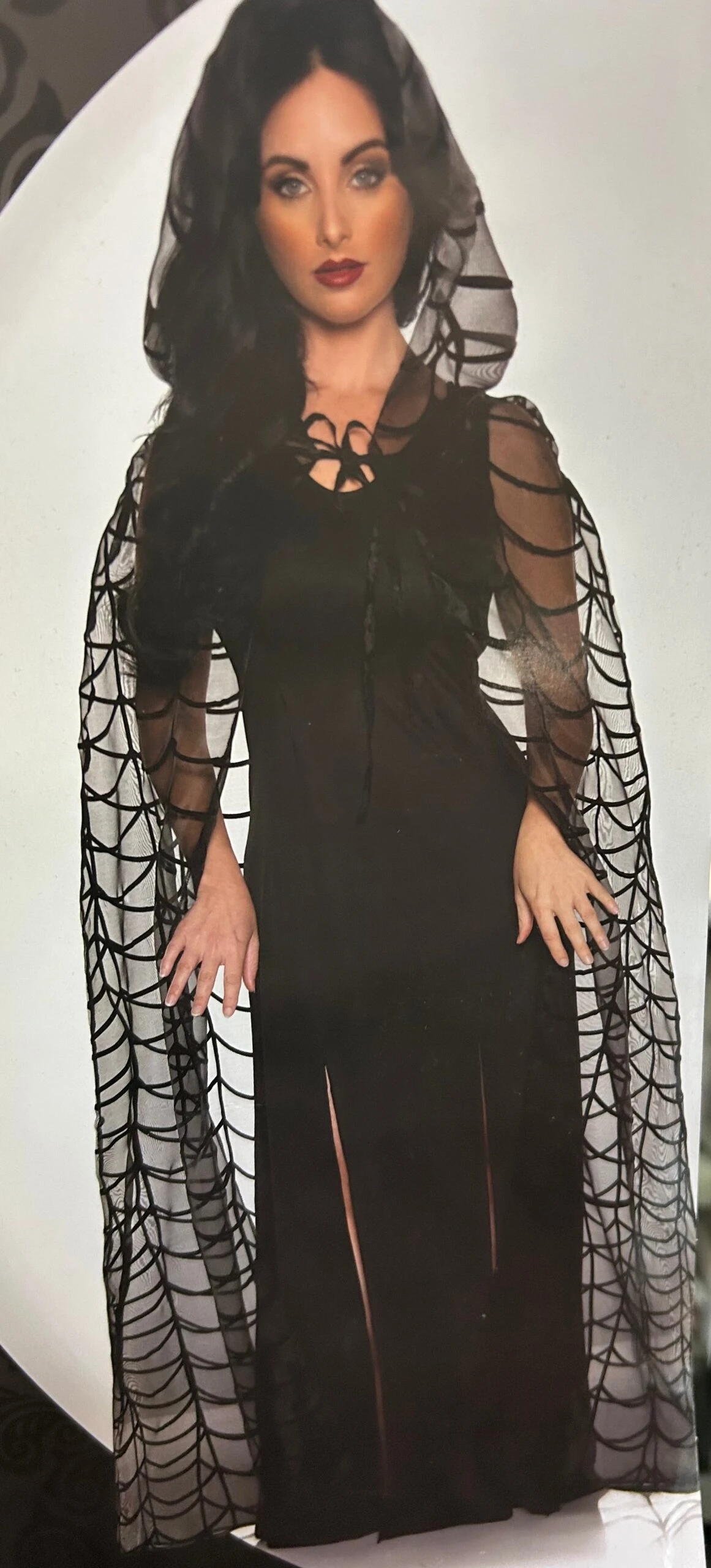 Spider Web Hooded Sheer Cape 1 Spider Web Hooded Sheer Cape