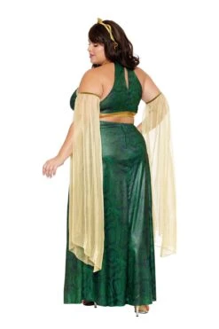Dreamgirl Mistress Medusa Costume Adult -Caufields Store 4a6ed38586bf6d4f59df96c825025bdc