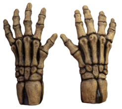 Skeleton (Ocher) Hands