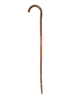 FUNNY FASHION Brown Wood Cane