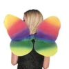 Rainbow Wings