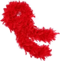 Feather Boa -Caufields Store 71y1W8kLKnL. AC UF894 1000 QL80
