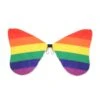 Fabric Rainbow Wings