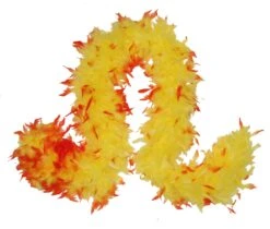Feather Boa -Caufields Store 81PqxfFxCgL