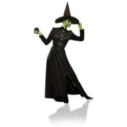 Plus Size Classic Witch Adult Costume