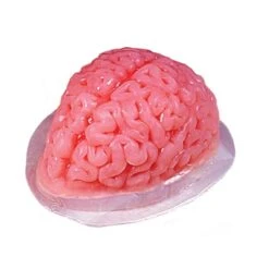 Fun World Brain Gelatin Mold