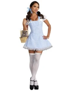 Dreamgirl Blue Gingham Dress