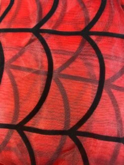 Spider Web Hooded Sheer Cape 9 Spider Web Hooded Sheer Cape -Caufields Store C3869970 1DDC 4B99 BBA1 88129E1F894B