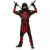 Dragon Ninja Child Costume