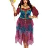 Dreamgirl Gypsy Costume - Plus Size