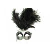 Black & SilverHalf Mask With Black Feathers On Stick