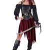 Queen Of The High Seas Women's Pirate Costume