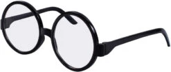 Disguise Harry Potter Glasses