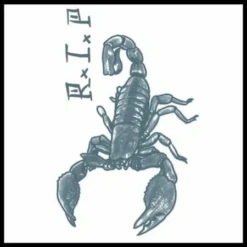 Tinsley Transfers Prison Tattoo - Scorpion