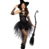 Dreamgirl Wicked, Wicked Witch Adult Costume