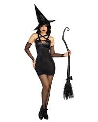 Dreamgirl Wicked, Wicked Witch Adult Costume 3 Dreamgirl Wicked, Wicked Witch Adult Costume - Image 3