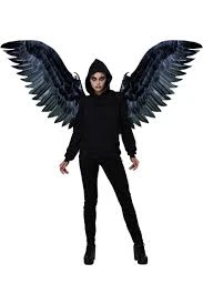 Raven Cosplay Expandable Wings