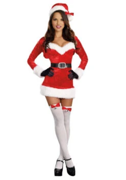 Dreamgirl Santa Baby Adult Costume