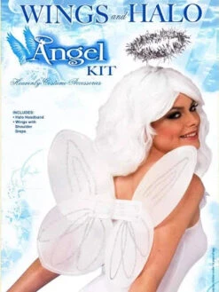 Chiffon Angel Wing & Halo Kit