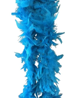 Feather Boa -Caufields Store thumbnail IMG 7135 removebg preview 1