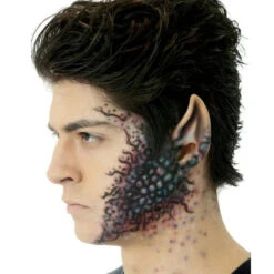 Large Space Ear Tips